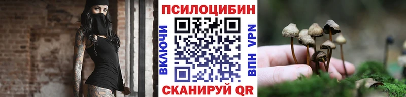 что такое наркотик hydra ONION Псилоцибиновые грибы прущие грибы Заволжск